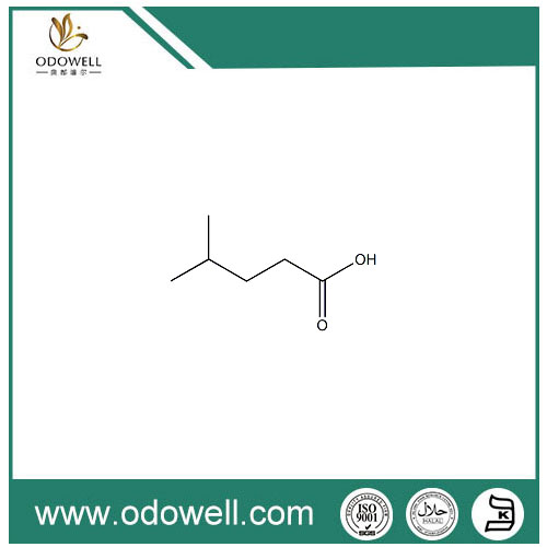 Asam 4-Methylvaleric Alami