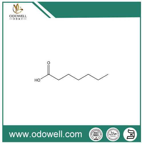 Asam Heptanoat