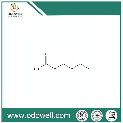 Asam Hexanoic