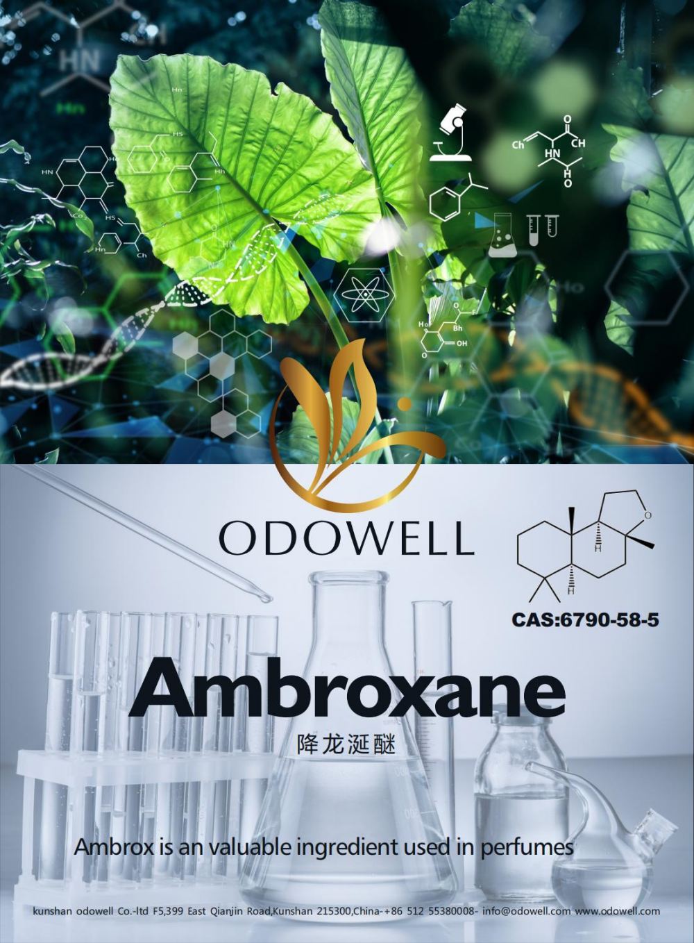 Odowell merayakan tahun yang sukses untuk Ambroxane (Ambrox)