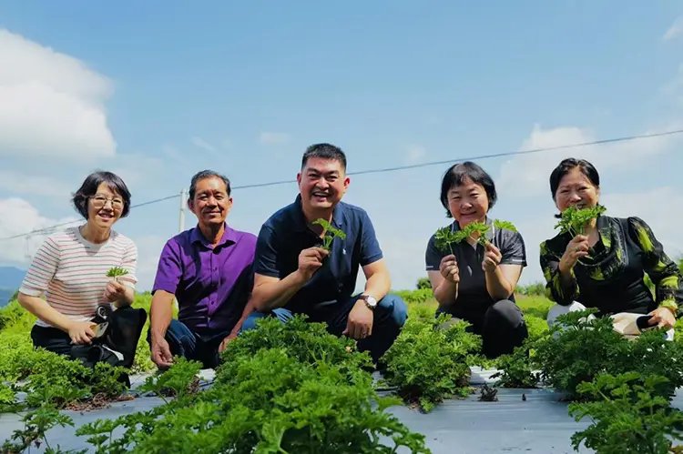 Tur Penelitian dan Studi Yunnan Odowell pada Agustus 2025