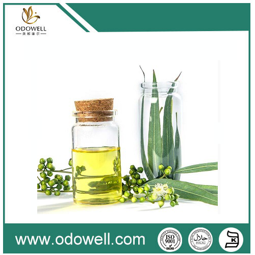 Memperkenalkan minyak eucalyptus premium kami (Eucalyptus globulus) - alami, otentik, dan serbaguna