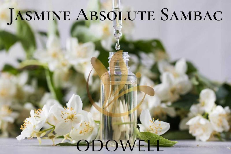 ​ODOWELL Meluncurkan Jasmine Absolute Sambac — Jasmine Absolute Alami Premium untuk Parfum dan Kecantikan
