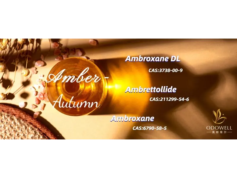 Apa Aroma Netral Gender Teratas untuk tahun 2025