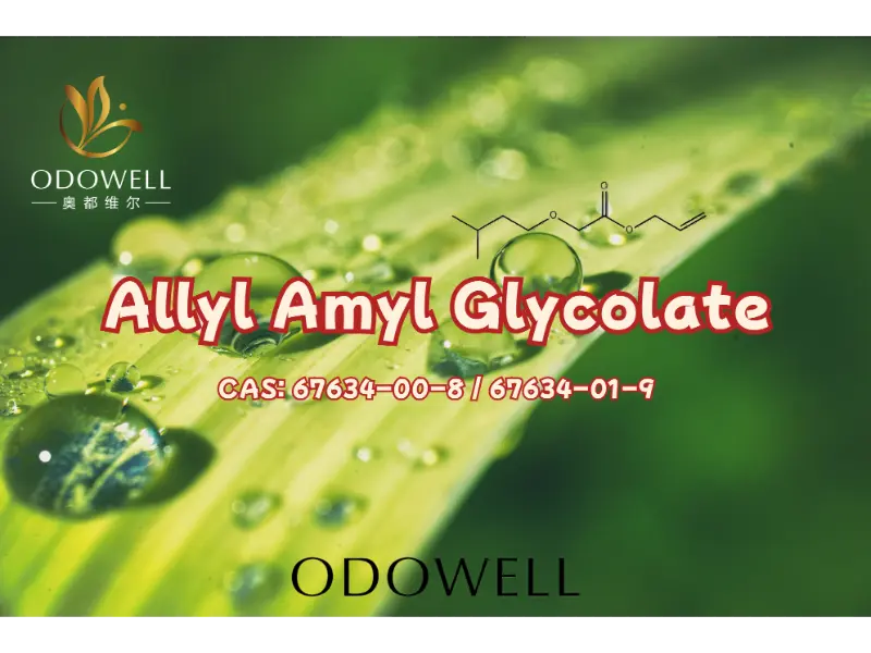 Allyl Amyl Glycolate – Ester Buah Berdampak Tinggi dari ODOWELL untuk Penciptaan Wewangian Modern