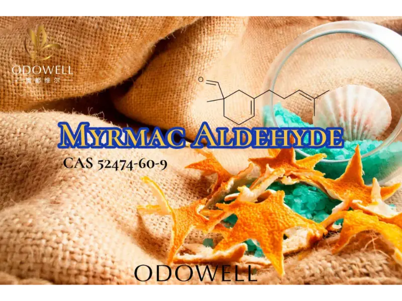 Myrmac Aldehyde – Ozonic Marine Aldehyde dari ODOWELL untuk Wewangian Luar Ruangan yang Segar