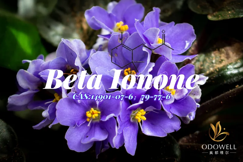 Beta Ionone – Keton Violet-Woody Klasik ODOWELL untuk Kedalaman Wewangian Halus