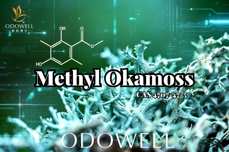 ​ODOWELL Memperkenalkan Methyl Okamoss: Oakmoss Sintetis Asli untuk Penguasaan Chypre dan Fougère