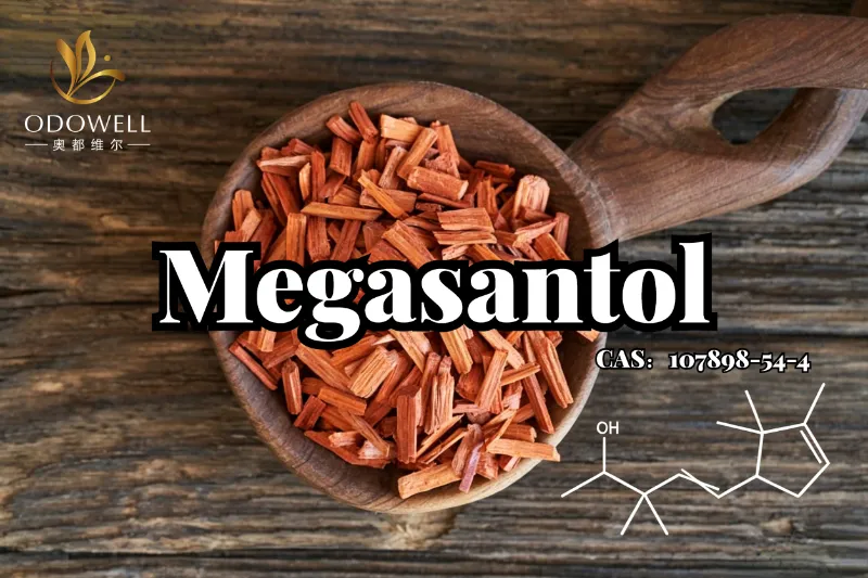 ​ODOWELL Memperkenalkan Megasantol: Bahan Cendana Sintetis yang Kuat untuk Desain Wewangian Kayu Modern