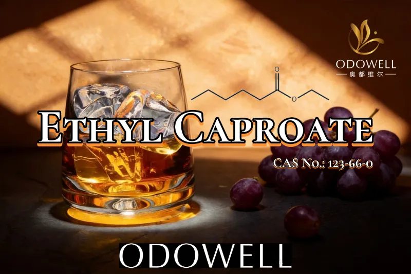 ​ODOWELL Merekomendasikan Ethyl Caproate untuk Aplikasi Rasa Buah dan Seperti Anggur