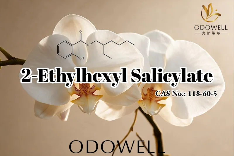 ODOWELL Merekomendasikan 2-Ethylhexyl Salicylate untuk Aplikasi Wewangian, Kosmetik, dan Perawatan Pribadi