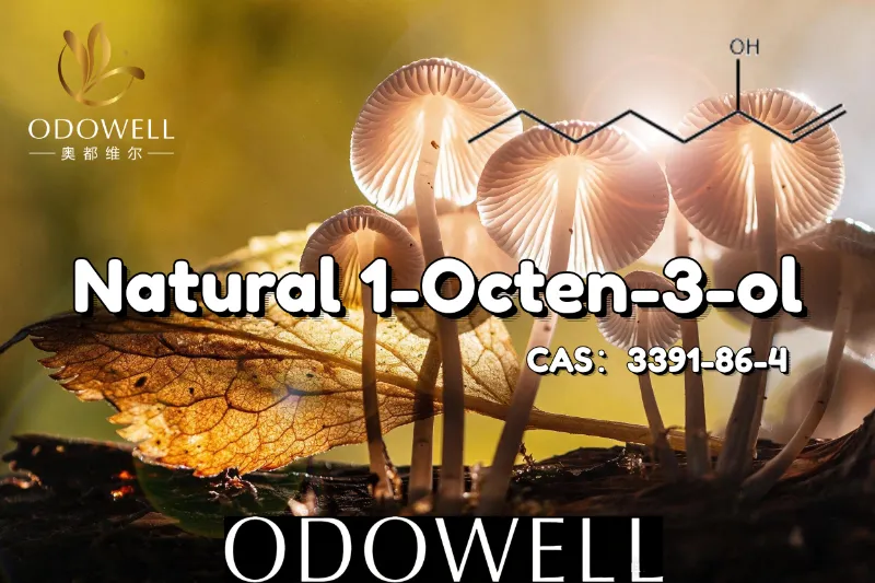 ​ODOWELL Merekomendasikan 1-Octen-3-ol Alami untuk Aplikasi Rasa Seperti Jamur dan Bersahaja