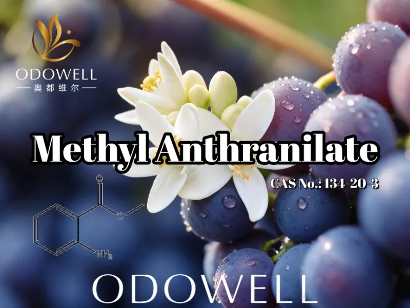 ​ODOWELL Merekomendasikan Metil Antranilat untuk Aplikasi Anggur, Bunga Jeruk, dan Neroli