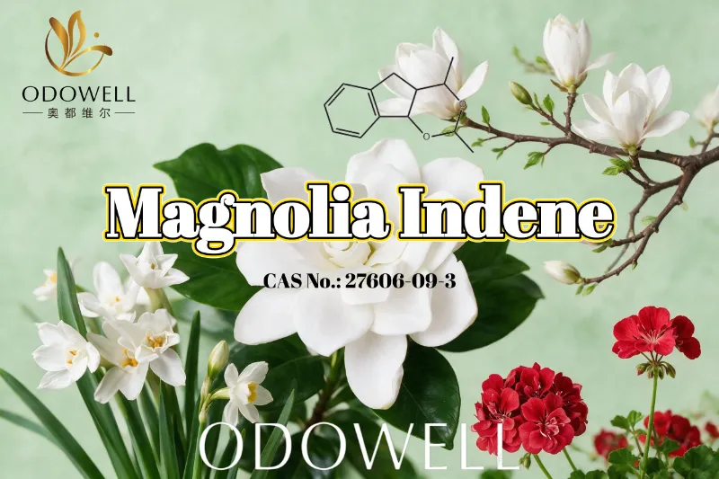 ODOWELL Merekomendasikan Magnolia Indene untuk Aplikasi Wangi Bunga-Hijau Segar dan Jeruk