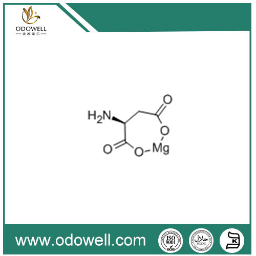 Sodium L-Aspartate Alami